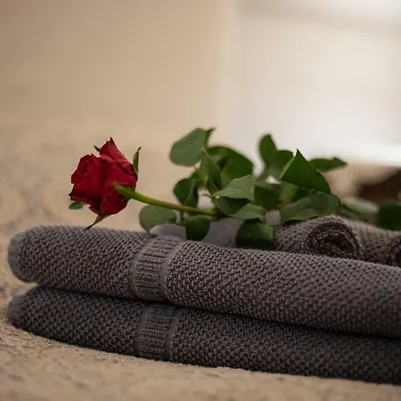 Dogana D'acqua & Art Bed & Breakfast Livorno