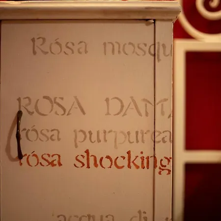 Dogana D'acqua & Art Nocleg ze śniadaniem *